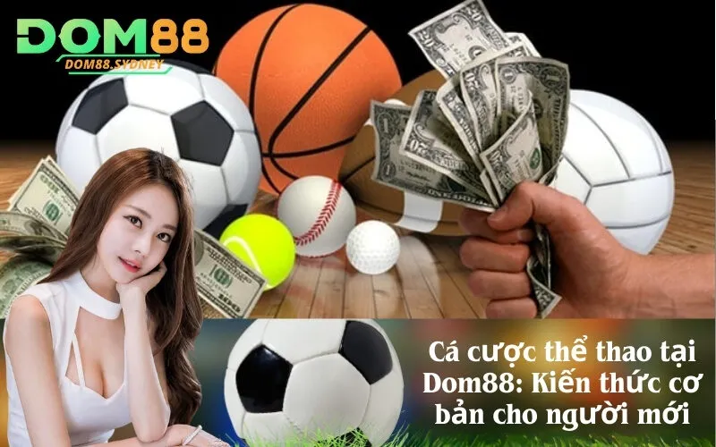 Cá cược thể thao tại Dom88: Kiến thức cơ bản cho người mới