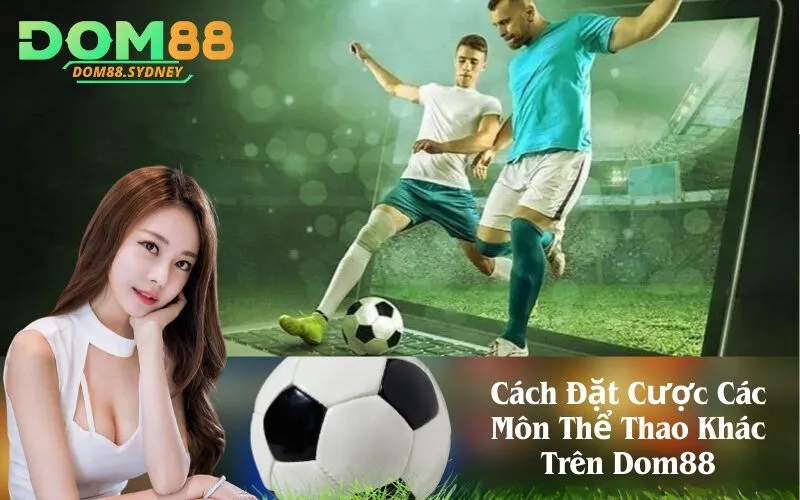 Cách Đặt Cược Các Môn Thể Thao Khác Trên Dom88