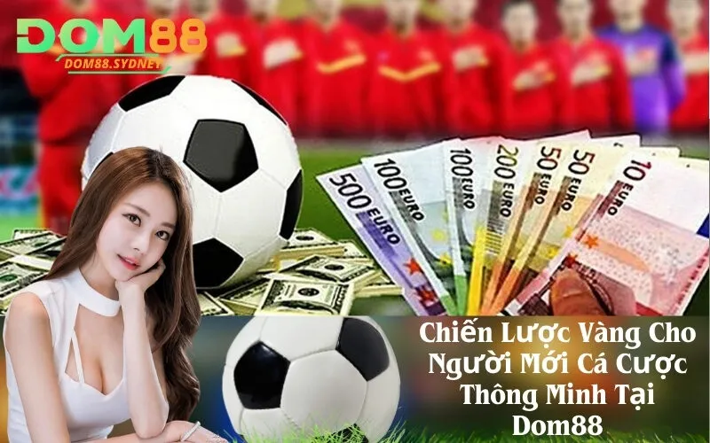Chiến Lược Vàng Cho Người Mới Cá Cược Thông Minh Tại Dom88