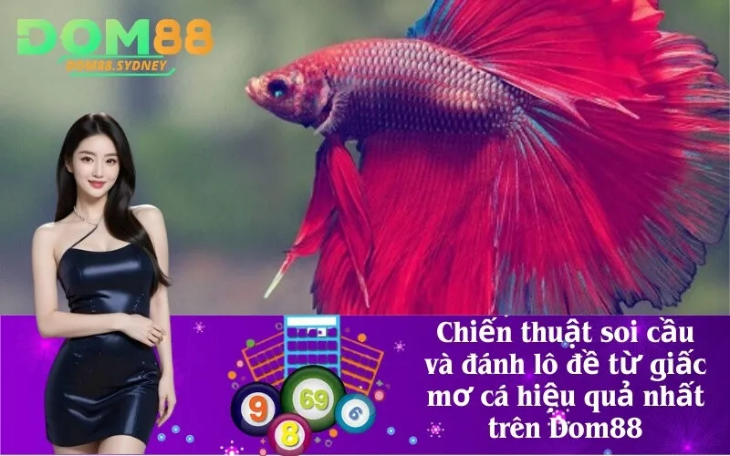 Chiến thuật soi cầu và đánh lô đề từ giấc mơ cá hiệu quả nhất trên Dom88