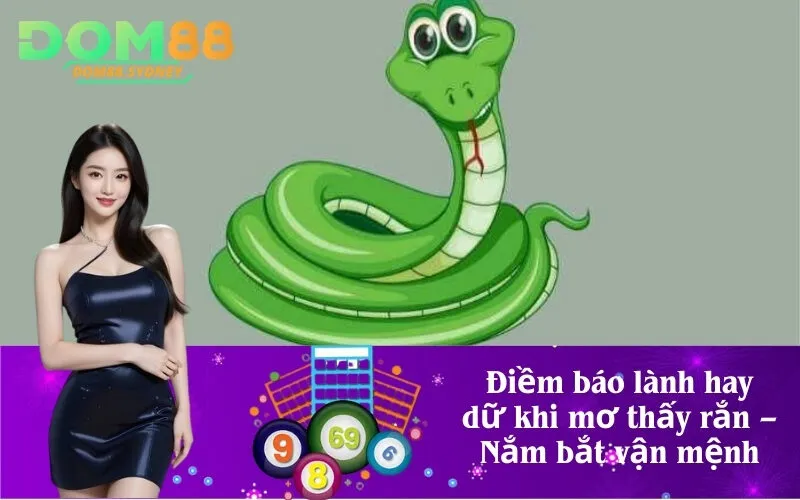 Điềm báo lành hay dữ khi mơ thấy rắn – Nắm bắt vận mệnh