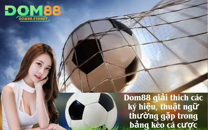 Dom88 giải thích các ký hiệu, thuật ngữ thường gặp trong bảng kèo cá cược