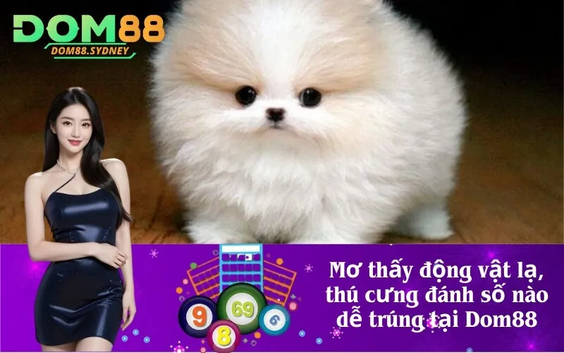 Mơ thấy động vật lạ, thú cưng đánh số nào dễ trúng tại Dom88