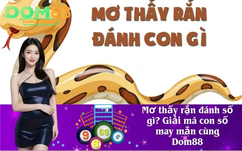 Mơ thấy rắn đánh số gì? Giải mã con số may mắn cùng Dom88