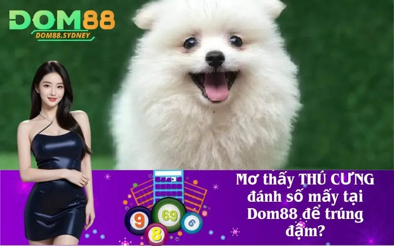 Mơ thấy THÚ CƯNG đánh số mấy tại Dom88 để trúng đậm?