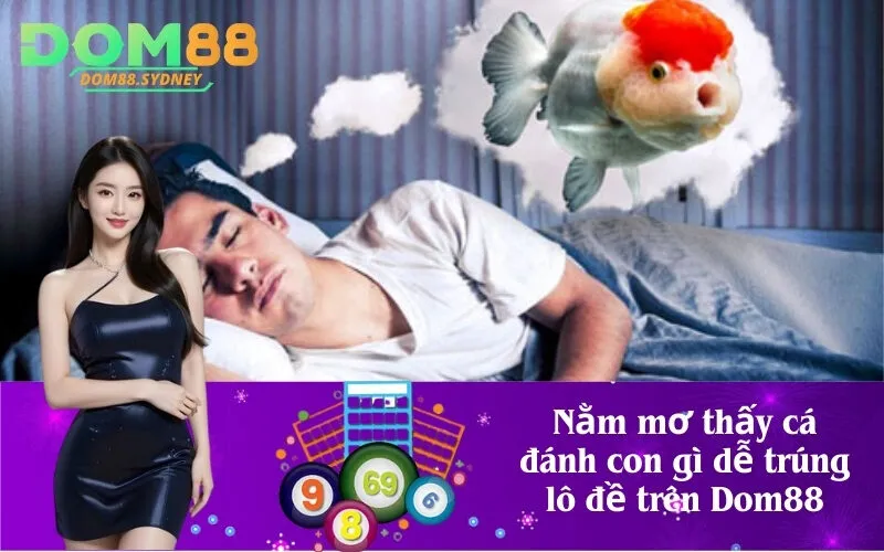 Nằm mơ thấy cá đánh con gì dễ trúng lô đề trên Dom88