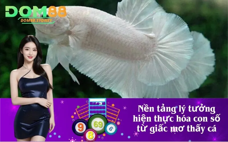 Nền tảng lý tưởng hiện thực hóa con số từ giấc mơ thấy cá